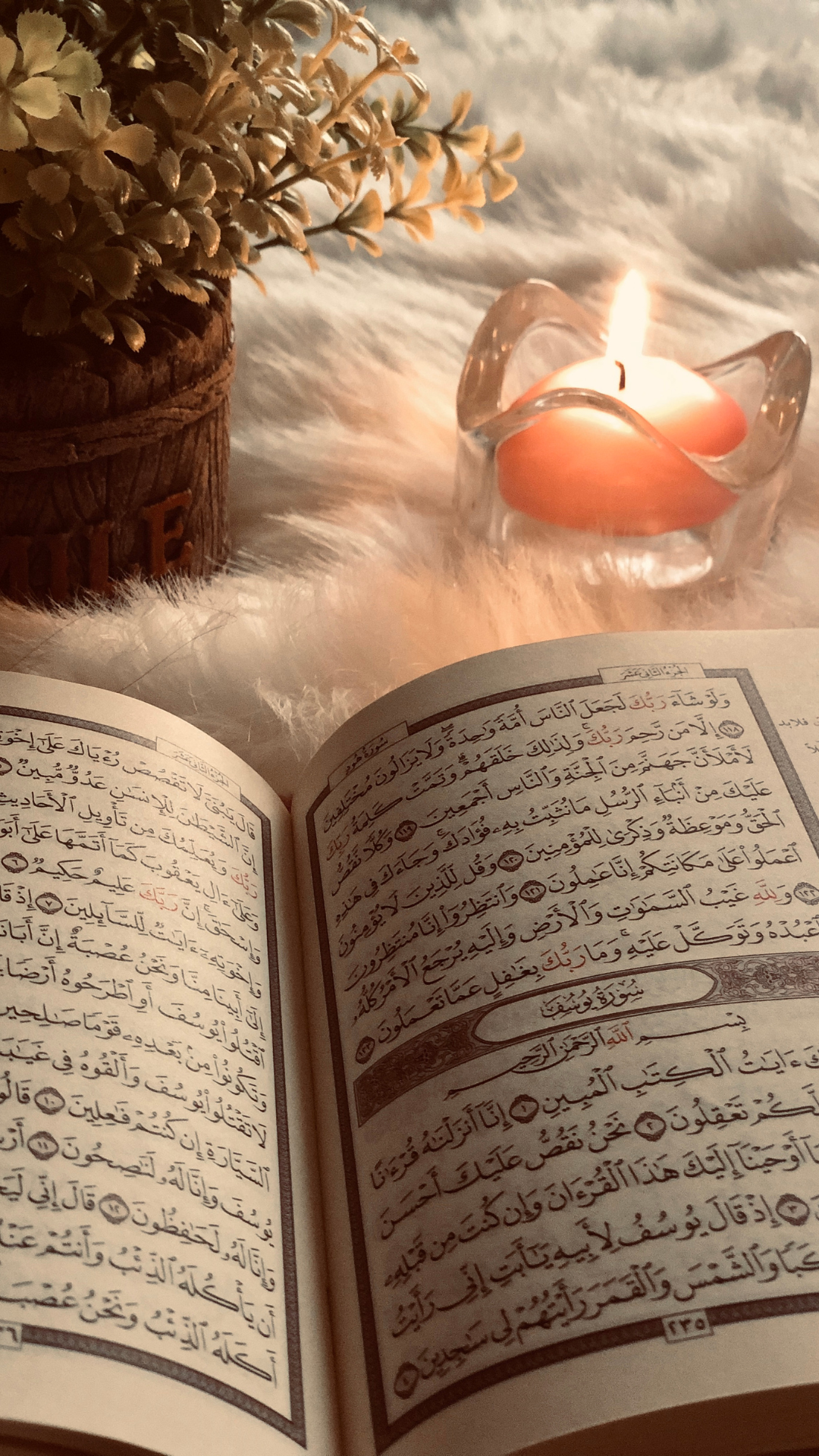 خيركم من تعلم القرآن وعلمه